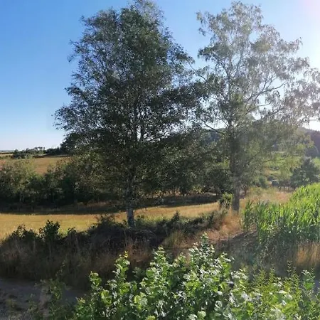 Mit Charme Apartment