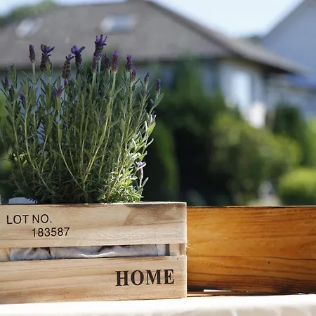 Apartment Mit Charme