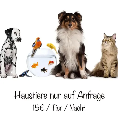Appartement Mit Charme Bad Salzschlirf