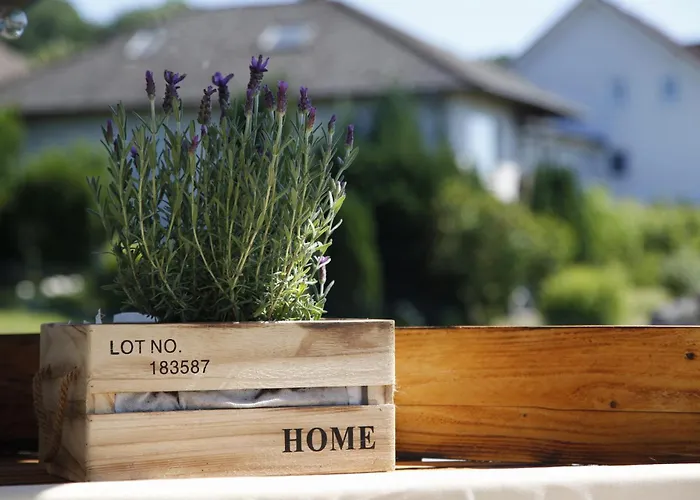 Apartament Mit Charme